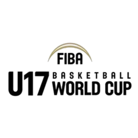 U17世界杯