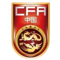 中国之队锦标赛