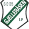 格杰勒拉森U19
