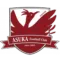 飞鸟FC