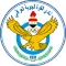 巴格达空军