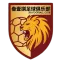 四川叁壹捌重龙