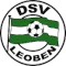 DSV莱奥本