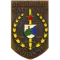 国际宪兵队
