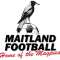 梅特兰女足