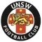 新南威尔士大学U20